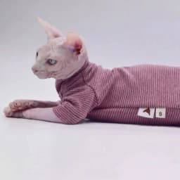 Hairless Cat Clothes Warm and Soft Four-Legged Hoodie for Sphynx Cats for Autumn and Winter for Devon Rex, Cornish