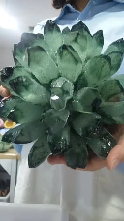 Pretty Green PHANTOM Crystal Cluster Rough Splicing Mineral Specimen
