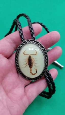 Natural Stone Scorpion Bolo Tie for Man Indian Cowboy Western Cowgirl Leather Rope Zinc Alloy Necktie