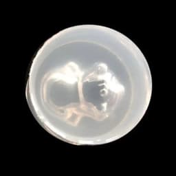 Mini Hedgehog Dog Pendant DIY Silicone Molds Resin Casting Jewelry Making Tools Epoxy Resin