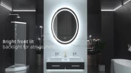 LUVODI Dual Illuminated Oval LED Mirror for Bathroom Shower Shaving,3 Color Temperature Options,Washroom Bedroom Makeup Mirror
