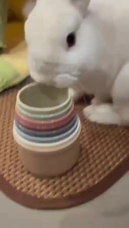 8pcs Rabbits Toys Bunny Stacking Cups Multi-colored Reusable Rabbit Puzzle Toys Playing Toy Hamster Guinea Pig Nesting Toys