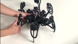 18 DOF Aluminium Hexapod Spider Bracket Six 3 DOF Legs Robot Frame Kit with Ball Bearing Fully For Programmable Robot DIY Kit