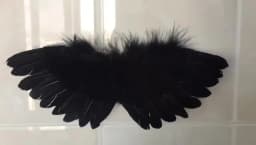 White Black Crafts Kids Mini Feather Angel Wing Newborn Dog Pet Prop Doll Decoration Party Birthday Gift Easter Valentines Day