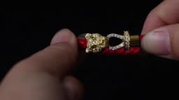 MOONLIGHT Classic Design Exquisite Cheetah Zircon Bracelet for Women Braided Leather Bracelet Quality Banquet Couples Gift