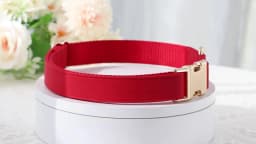 Personalized PU Leather Dog Collar Free Engraved Pet Collars Customized ID Name Necklace For Small Medium Large Dogs 9 Colors