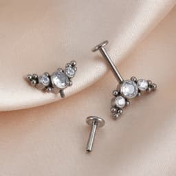 Right Grand ASTM F136 Titanium 16G Vertical Helix Cluster Earring Internally Threaded Medusa Ring Cartilage Monroe Lobe Piercing