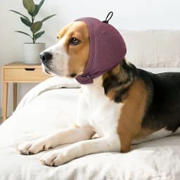 Dog calming cap, equipped with a 0.79 foam pad, designed for noise reduction and anxiety relief.