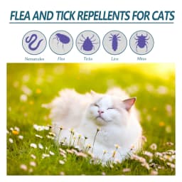 50ML Pet Anti-flea Tick Drops for Cats and Dogs Natural Formula Skin Cleaning Fast-acting Protection Deworming for Pet Care