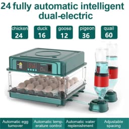 9/15/24/36 Eggs Incubator With Drawer Type EggIncubator With Automatic Water Ionic Waterbed Replenishment And Temperature Contro