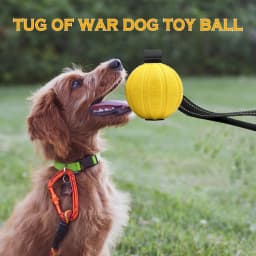 Dog Toy Balls On a Rope for Small Medium Large Dogs Chewers, Durable Interactive Ball for Training Dogs, EVA Foam Ball Floats