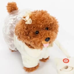 Robot Dog Sound Control Interactive Dog Electronic Pets Plush Puppy Walk 72 Songs Talk Teddy Toys For Children Birthday Gifts
