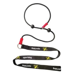Training Dog Choking Rope Leash 2 in 1 Lead Collar 150cm P-Shaped Chain Slip Lead Control Leash for Small Large Competition Dogs
