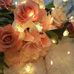 20-Bee LED String Lights - Warm White, Battery-Operated, Energy-Efficient, for Indoor/Outdoor Decor, Seasonal Celebrations
