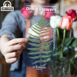 6Pcs Weekend Flowers Deco Stickers Set DIY Stationery Scrapbooking Album Styling Toy Decoration 8 Unique Design Options