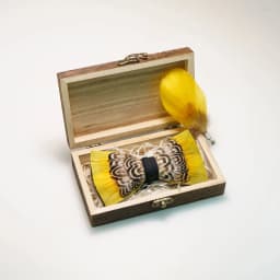 EASTEPIC Handmade Feather Bow Tie Brooch Wooden Box Set Men's Exquisite Accessories for Wedding Party Birthday Gift Necktie