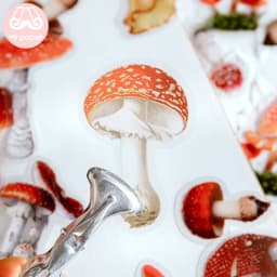 40 Pcs/pack Assorted Plant Flower Mushroom Ginkgo Pet Decorative Diary Stickers Sticky Notes for Scrapbooking Planner Stationery