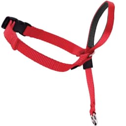 Adjustable Nylon Dog Pet Dog Padded Head Collar Gentle Halter Leash Leader Stop Pulling Training Muzzle Tools dog accessories