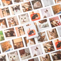 Kawaii Cat collection Paper Small Diary Mini Japanese Cute box Stickers set Scrapbooking kawaii Flakes Journal Stationery