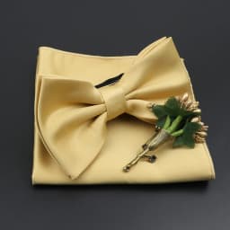 Mens Wedding Bow Tie Brooch Set Romantic Solid Color Silk Polyester Jacquard Woven Bowtie Lapel Pin Hanky Men Gifts Accessories