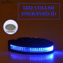 Engraved ID LED Dog Collar Luminous USB Custom Dog Tag Personalized Nylon Pet Dog Collar Led USB Light Night Safety Collar Perro