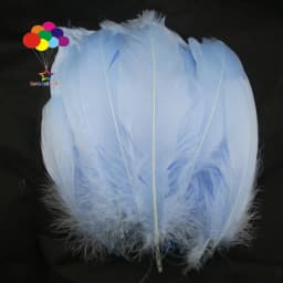 100PCS Soft Goose Feathers 5-7 Inch/13-18cm For Wedding Party Decoration Carnival Diy Facinator