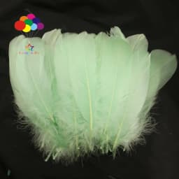 100PCS Soft Goose Feathers 5-7 Inch/13-18cm For Wedding Party Decoration Carnival Diy Facinator
