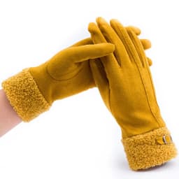 Winter Suede Leather Internal Plush Thicken Touch Screen Driving Gloves Woman's Outdoor Riding Belt Embroidery Warm Gloves R28