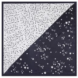 2022 Europe 60cm Spring New Versatile Women's Imitation Silk Business Leisure Small Scarf Occupation Small Square Towel
