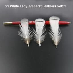 50Pcs/Lot! White Ostrich Goose Pheasant Feathers for Crafts Chicken Turkey Feather Wedding Party Accessories Decoration Plumes