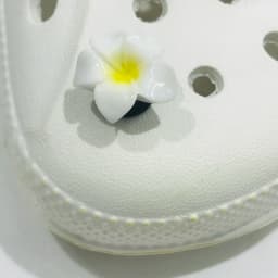 1Pcs Mix Styles Flowers Frog Ice Cream Cartoon Animals Shoe Charms Resin Shoe Decoration Fit Kids Backpack