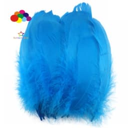 100PCS Soft Goose Feathers 5-7 Inch/13-18cm For Wedding Party Decoration Carnival Diy Facinator