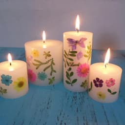 Real Pressed Flower Leaf Dried Daisy Flower Resin Flower Dry Beauty Nail Art Decals Epoxy Mold Fillings Jewelry Making