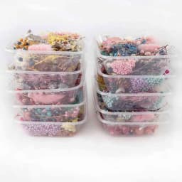 Real Pressed Flower Leaf Dried Daisy Flower Resin Flower Dry Beauty Nail Art Decals Epoxy Mold Fillings Jewelry Making