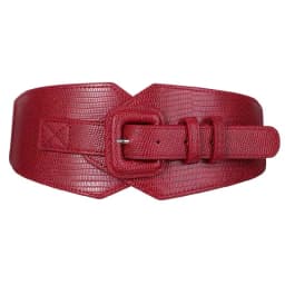 Plus Size Corset Belt Female Designer Belts For Women Dresses Wide Stretch Cummerbunds Elastic Ceinture Femme Big Waistband