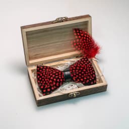 EASTEPIC Handmade Feather Bow Tie Brooch Wooden Box Set Men's Exquisite Accessories for Wedding Party Birthday Gift Necktie