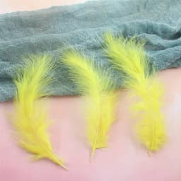 Natural Feathers 10-15cm Turkey Plume 4-6 Inches Chicken Feather Colorful Plumas Para Manualidades For Wedding Dress Decoration