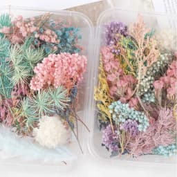 Real Pressed Flower Leaf Dried Daisy Flower Resin Flower Dry Beauty Nail Art Decals Epoxy Mold Fillings Jewelry Making