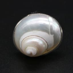 Natural Stone Shell Ring Adjustable Snail-Shaped Gossip Unisex For Love Romantic Birthday Jewelry Gift