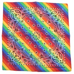 Skull Bandana Square Scarf 100% Cotton Square Handkerchief Hip Hop Sport Paisley Bicycle Head Scarf Woman Scarves For Neck