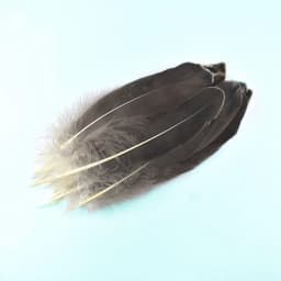 50Pcs Natural Goose Feathers Plume Craft DIY Royal Blue Feather Wedding Party Plumas Jewelry Making Decor Accessories 13-18CM