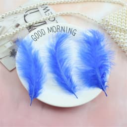 Natural Feathers 10-15cm Turkey Plume 4-6 Inches Chicken Feather Colorful Plumas Para Manualidades For Wedding Dress Decoration