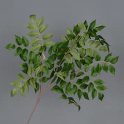 HMEOT Artificial Green Plants Grass Silk Trumpet Leaf Fake Flower Wedding Floral Row Accessories Vase Home Decor Greenery H6969