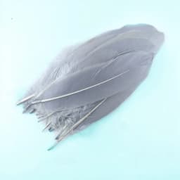 50Pcs Natural Goose Feathers Plume Craft DIY Royal Blue Feather Wedding Party Plumas Jewelry Making Decor Accessories 13-18CM