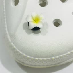 1Pcs Mix Styles Flowers Frog Ice Cream Cartoon Animals Shoe Charms Resin Shoe Decoration Fit Kids Backpack
