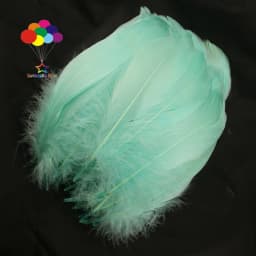 100PCS Soft Goose Feathers 5-7 Inch/13-18cm For Wedding Party Decoration Carnival Diy Facinator