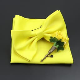 Mens Wedding Bow Tie Brooch Set Romantic Solid Color Silk Polyester Jacquard Woven Bowtie Lapel Pin Hanky Men Gifts Accessories