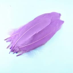 50Pcs Natural Goose Feathers Plume Craft DIY Royal Blue Feather Wedding Party Plumas Jewelry Making Decor Accessories 13-18CM