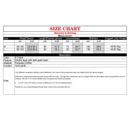 Women's Vintage Double Layer Pants Chinese Style High Waist Imitated Silk Chiffon Shiny Wide Leg Skirt Pants 2024 Spring PA111