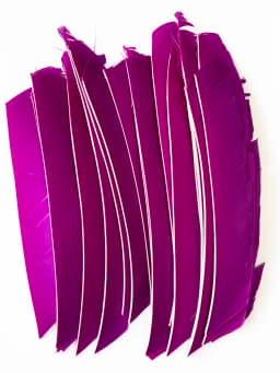 100PCS 18-25CM Full Length Turkey Arrow Feathers DIY Hunting Bow Arrow Accessories Archery Fletching Right Wing Vanes